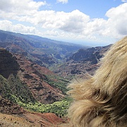 Picture 048
